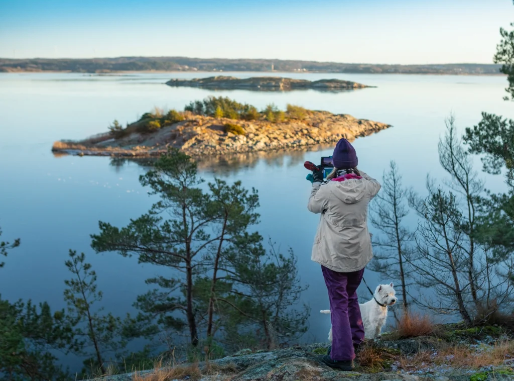 storeskog mot sv