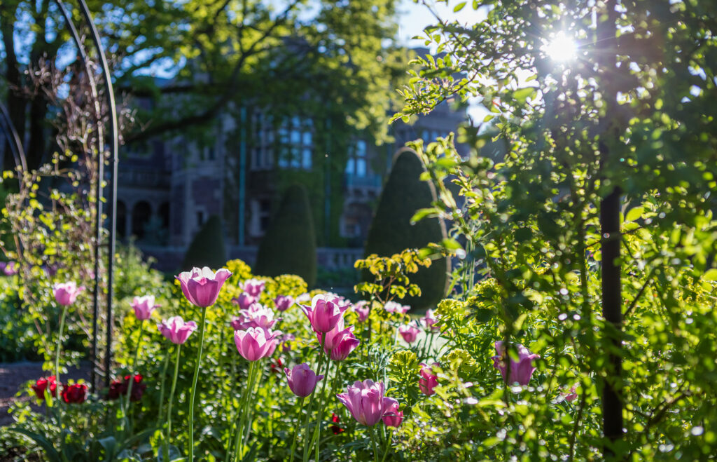 slottstradgarden maj2017 245