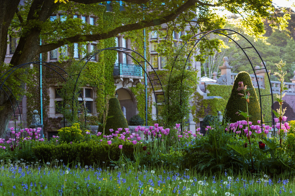 slottstradgarden maj2017 252