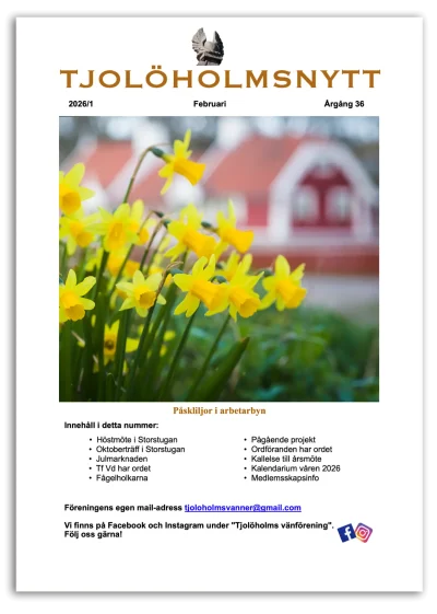 tjolöholmsnytt web