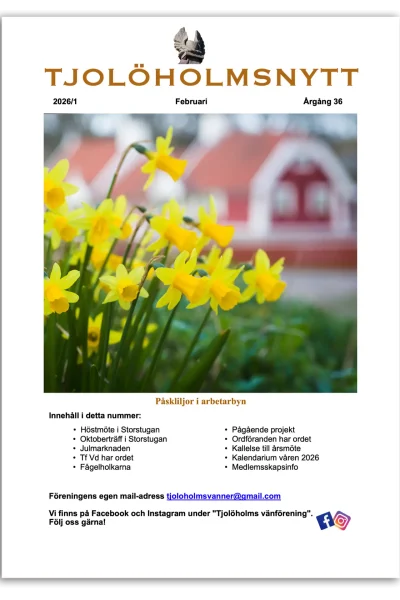 tjolöholmsnytt web